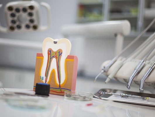 wooden tooth with colorful roots